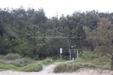 Melissaedwards diggersbeach 23nov2015 07
