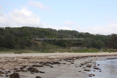 Melissaedwards diggersbeach 23nov2015 12