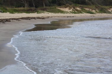 Melissaedwards diggersbeach 23nov2015 13