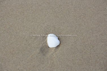 Melissaedwards diggersbeach 23nov2015 25