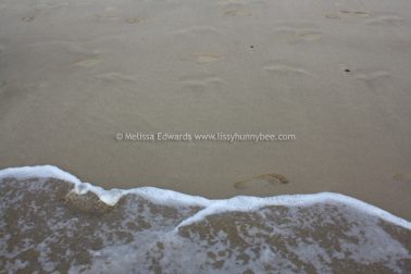 Melissaedwards diggersbeach 23nov2015 31