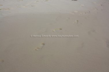 Melissaedwards diggersbeach 23nov2015 32
