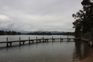 Melissaedwards mylestom 11mar2016 03
