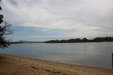 Melissaedwards mylestom 11mar2016 04