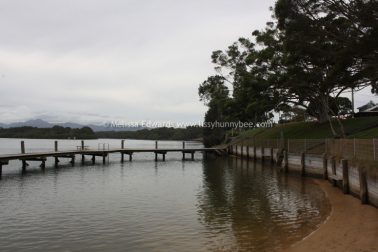 Melissaedwards mylestom 11mar2016 05