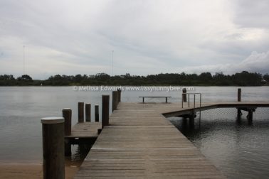 Melissaedwards mylestom 11mar2016 06