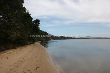 Melissaedwards mylestom 11mar2016 07