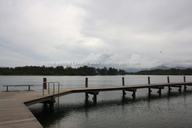 Melissaedwards mylestom 11mar2016 08