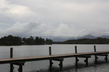 Melissaedwards mylestom 11mar2016 09