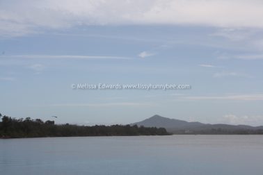 Melissaedwards mylestom 11mar2016 10