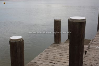 Melissaedwards mylestom 11mar2016 12