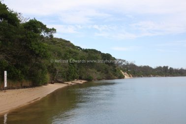 Melissaedwards mylestom 11mar2016 13