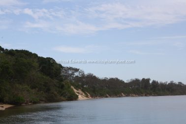Melissaedwards mylestom 11mar2016 14