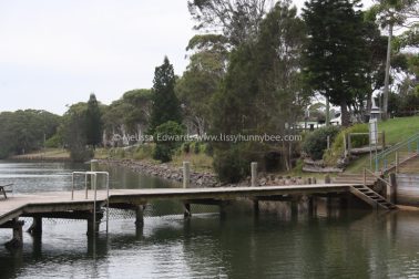 Melissaedwards mylestom 11mar2016 15