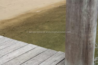 Melissaedwards mylestom 11mar2016 18