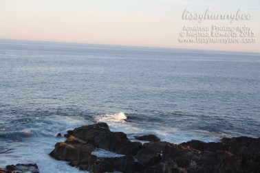 Melissaedwards sawtellheadland 05oct2015 13