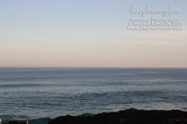 Melissaedwards sawtellheadland 05oct2015 20
