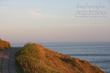 Melissaedwards sawtellheadland 05oct2015 32