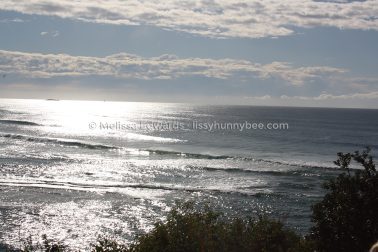 MelissaEdwards SawtellHeadland 2011Aug10