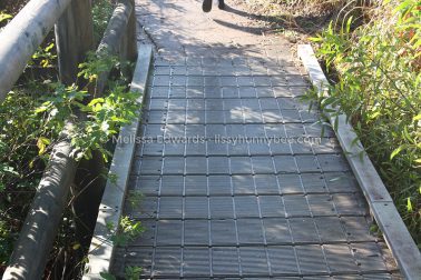 MelissaEdwards SawtellHeadland 2011Aug10