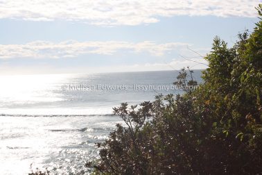 MelissaEdwards SawtellHeadland 2011Aug10