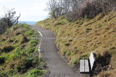 MelissaEdwards SawtellHeadland 2011Aug10