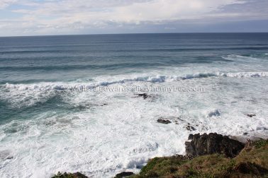 MelissaEdwards SawtellHeadland 2011Aug10