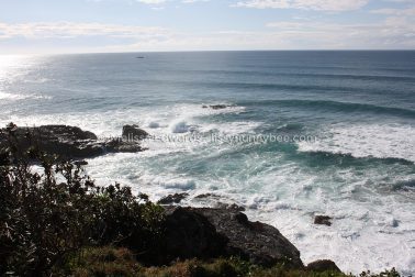 MelissaEdwards SawtellHeadland 2011Aug10