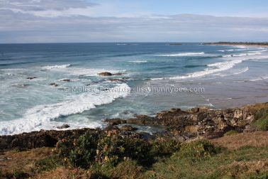 MelissaEdwards SawtellHeadland 2011Aug10