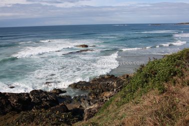 MelissaEdwards SawtellHeadland 2011Aug10