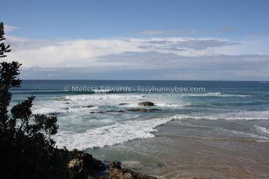 MelissaEdwards SawtellHeadland 2011Aug10