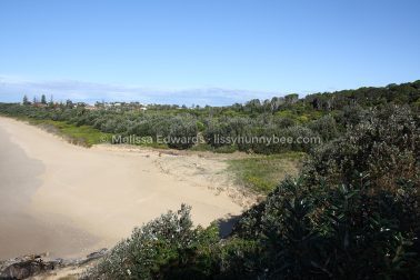 MelissaEdwards SawtellHeadland 2011Aug10