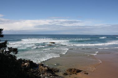 MelissaEdwards SawtellHeadland 2011Aug10