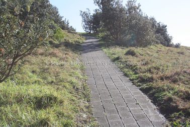 MelissaEdwards SawtellHeadland 2011Aug10