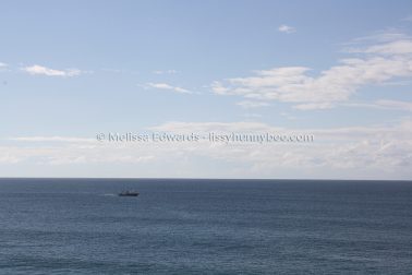 MelissaEdwards SawtellHeadland 2011Aug10