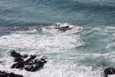 MelissaEdwards SawtellHeadland 2011Aug10