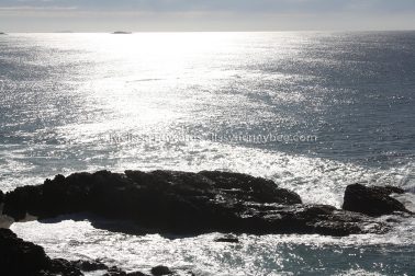 MelissaEdwards SawtellHeadland 2011Aug10