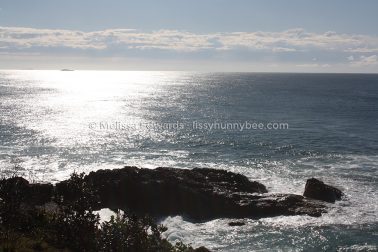 MelissaEdwards SawtellHeadland 2011Aug10