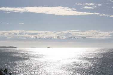 MelissaEdwards SawtellHeadland 2011Aug10