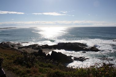 MelissaEdwards SawtellHeadland 2011Aug10