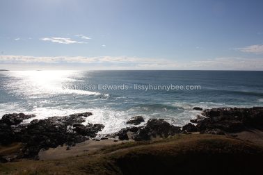 MelissaEdwards SawtellHeadland 2011Aug10