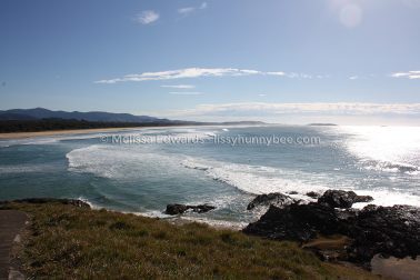MelissaEdwards SawtellHeadland 2011Aug10