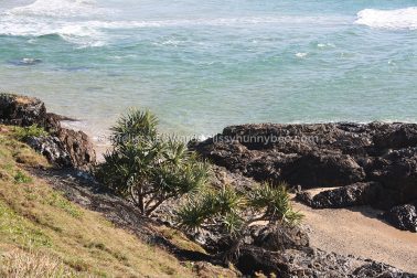 MelissaEdwards SawtellHeadland 2011Aug10
