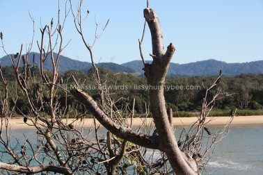 MelissaEdwards SawtellHeadland 2011Aug10