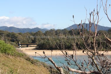MelissaEdwards SawtellHeadland 2011Aug10