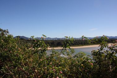 MelissaEdwards SawtellHeadland 2011Aug10