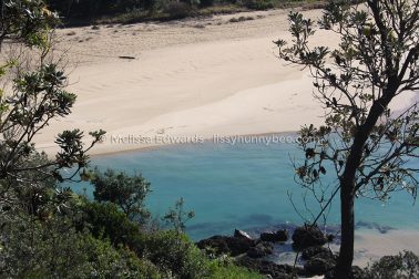 MelissaEdwards SawtellHeadland 2011Aug10