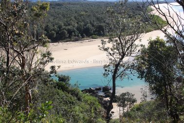 MelissaEdwards SawtellHeadland 2011Aug10