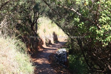 MelissaEdwards SawtellHeadland 2011Aug10