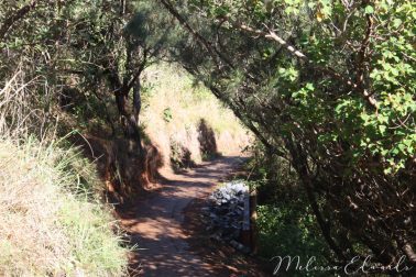 MelissaEdwards SawtellHeadland 2011Aug10